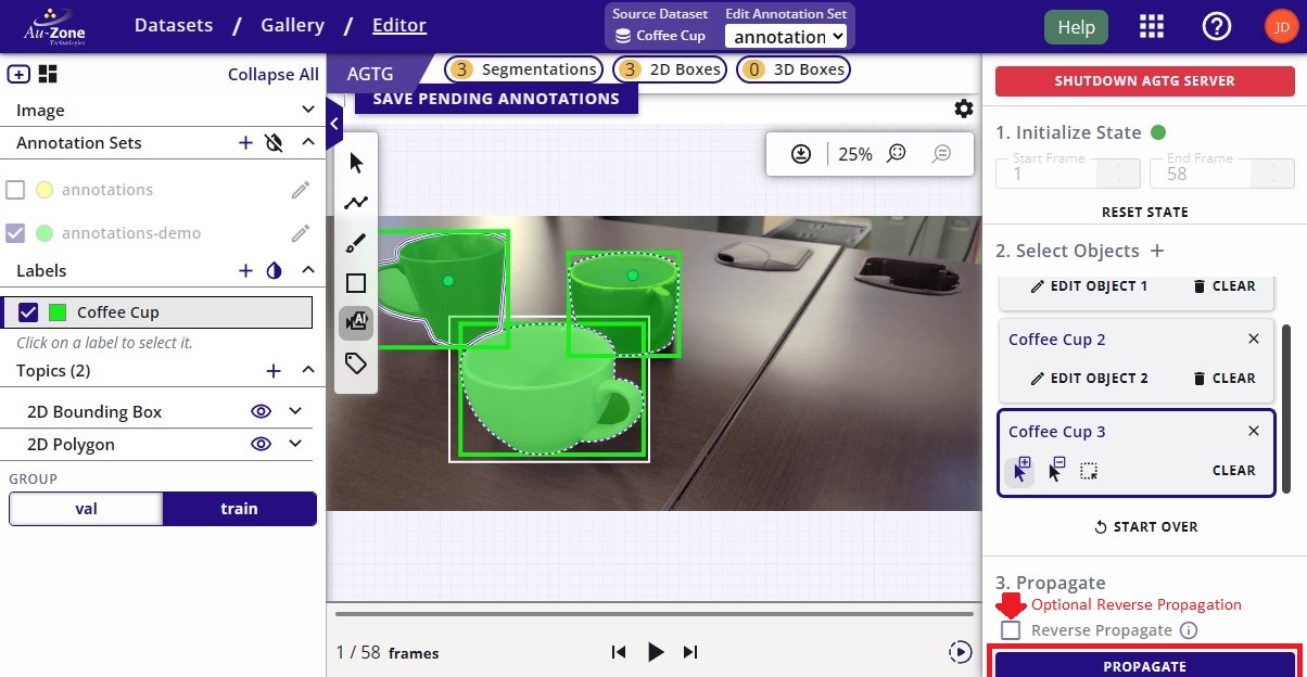 Distinct Frame Annotations