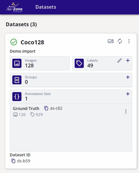 Imported COCO128 Dataset