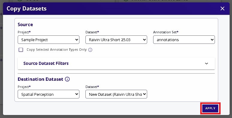 Copy Dataset Options