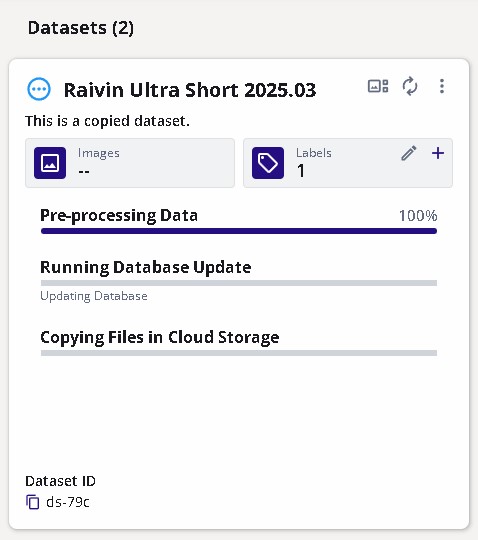 Copy Dataset Process