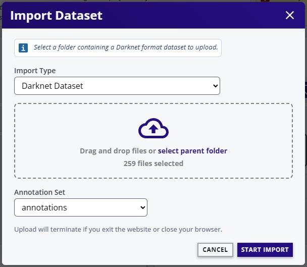 Import Options