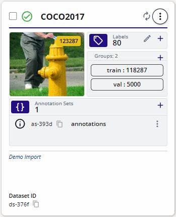 Imported COCO2017 Dataset