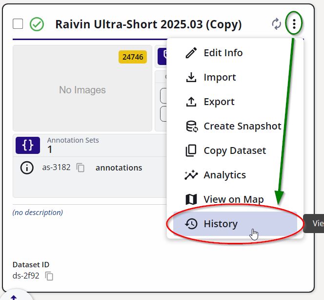 Tag Dataset Options