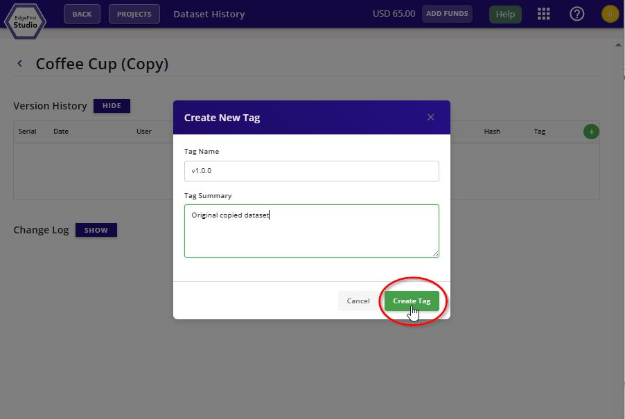 Tag Dataset Options