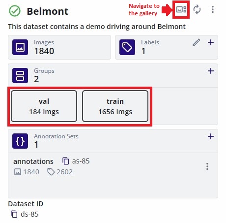 Dataset Groups
