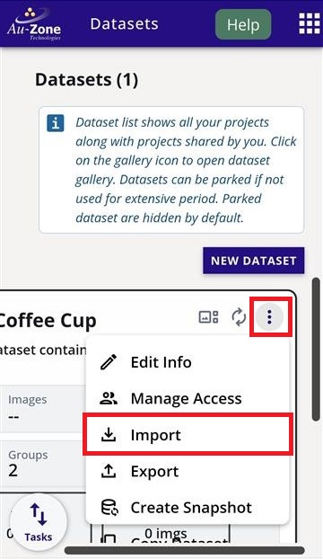 Dataset Import Option