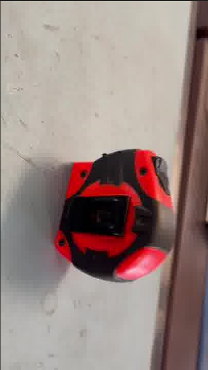 Input Image