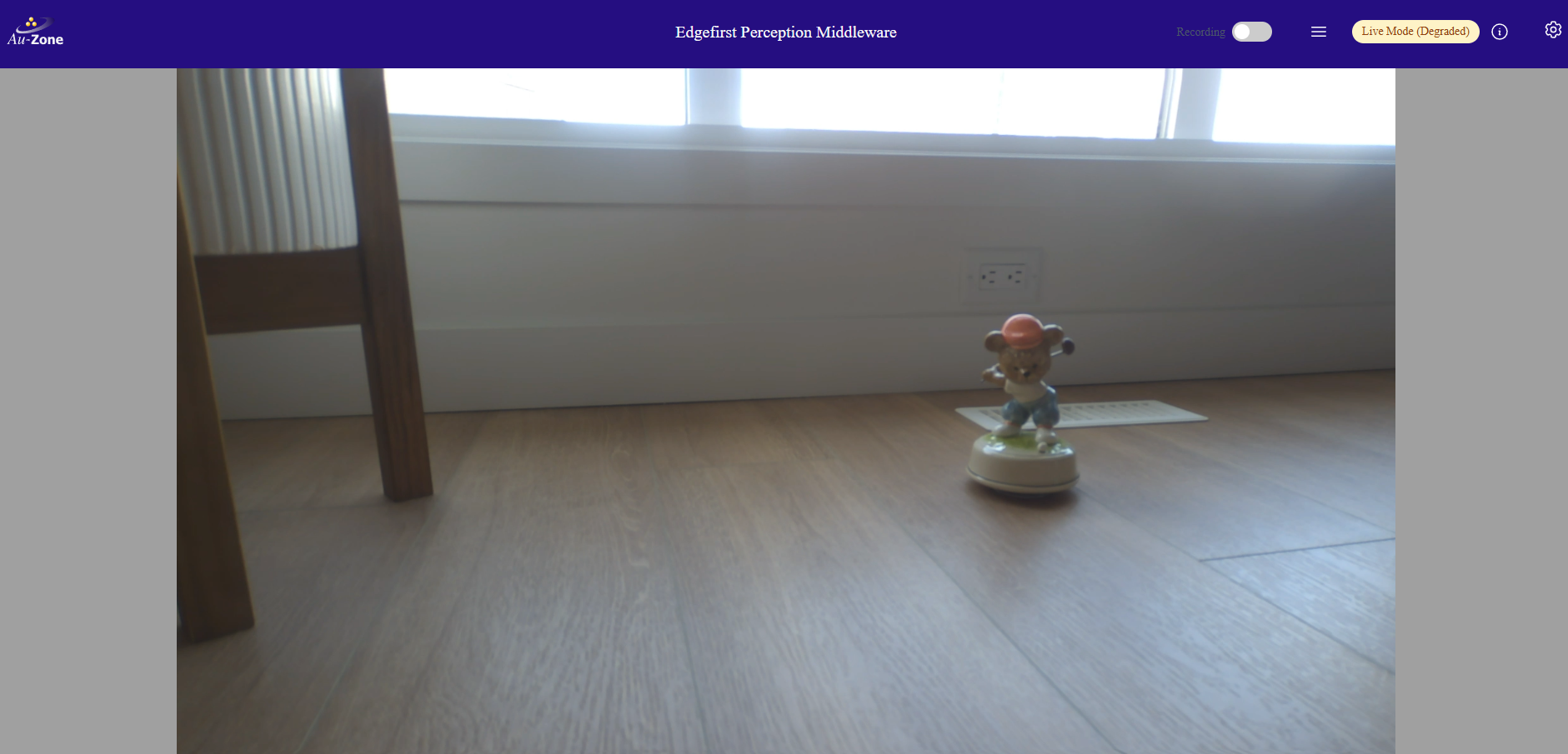 Camera View