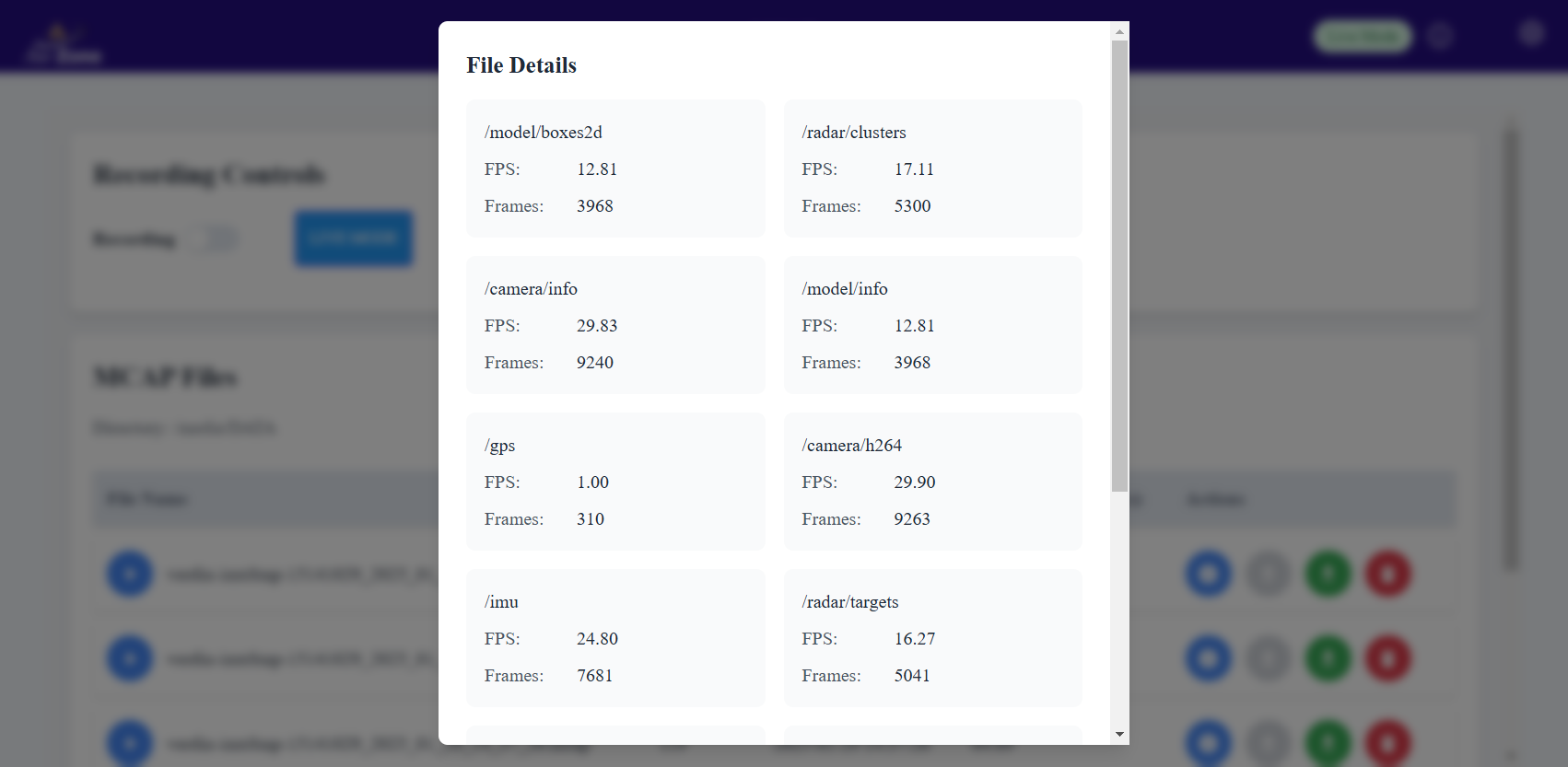 MCAP File Details