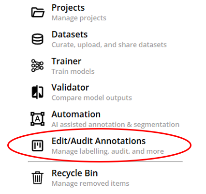 Audit Annotations
