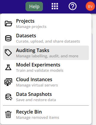 Auditing Tasks