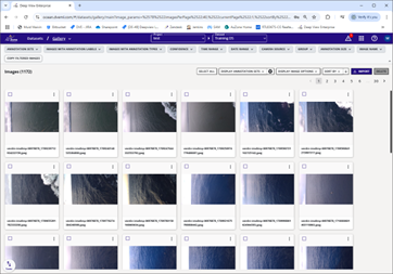 Image Gallery