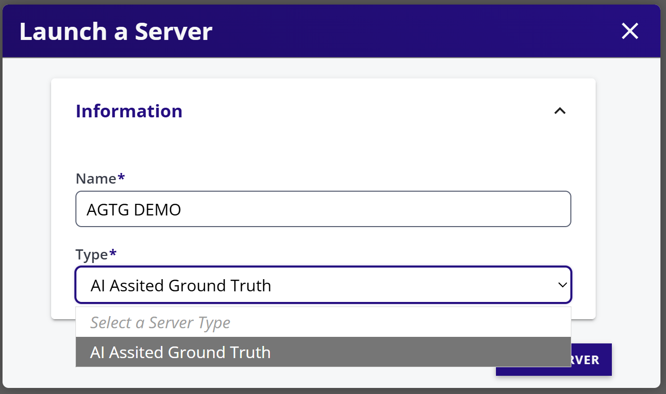 AI Server
