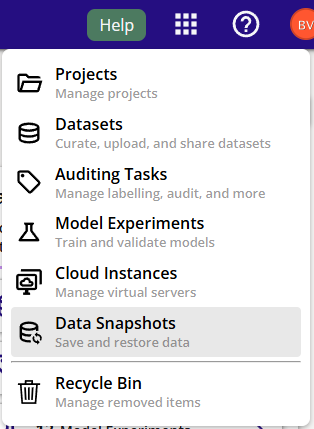 Data Snapshots