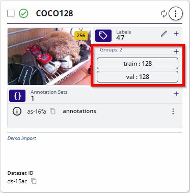 COCO128 with Groups