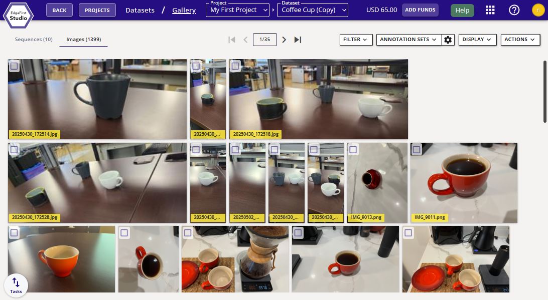 Dataset Images