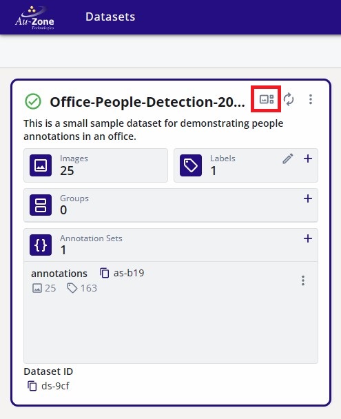 Restored Dataset