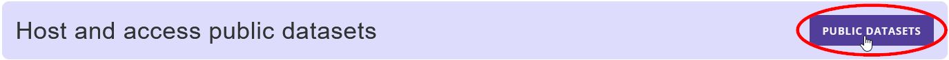 Public Datasets Button