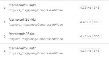 Foxglove Studios topics