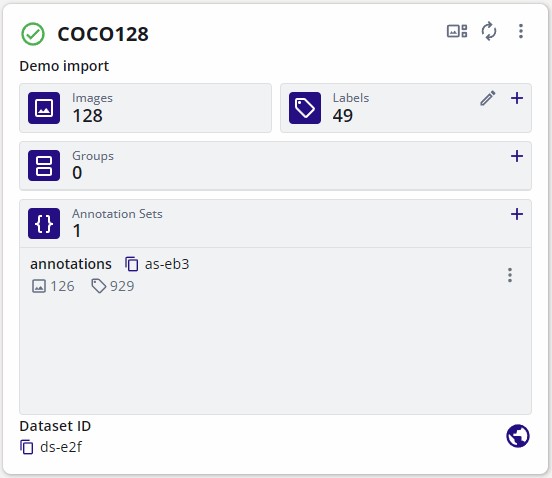 Imported COCO128 Dataset