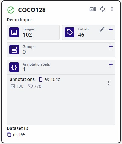 Imported COCO128 Training Samples