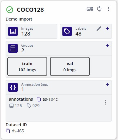 Imported COCO128 Training Samples