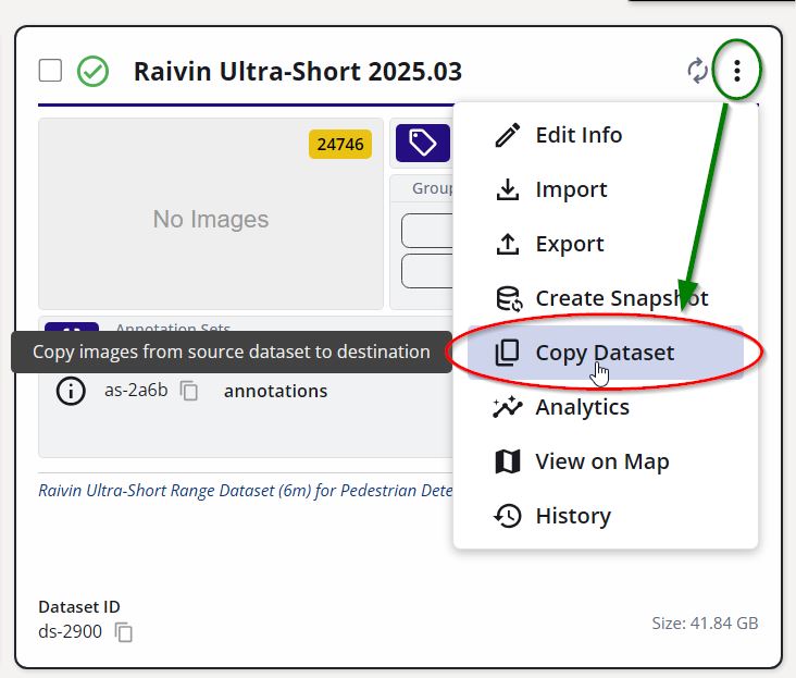 Copy Dataset