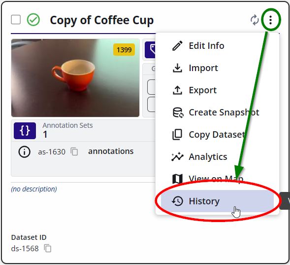 Tag Dataset Options