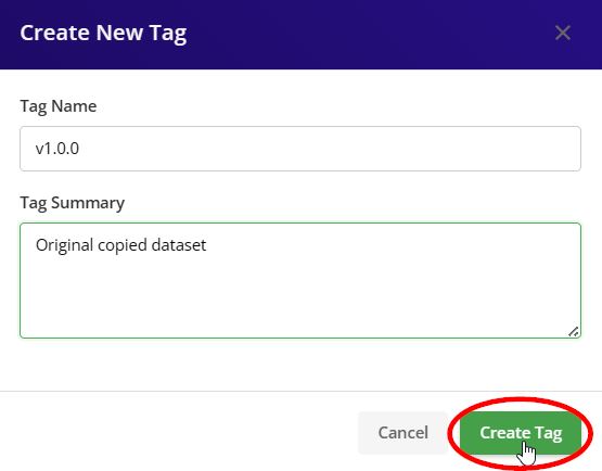 Tag Dataset Options