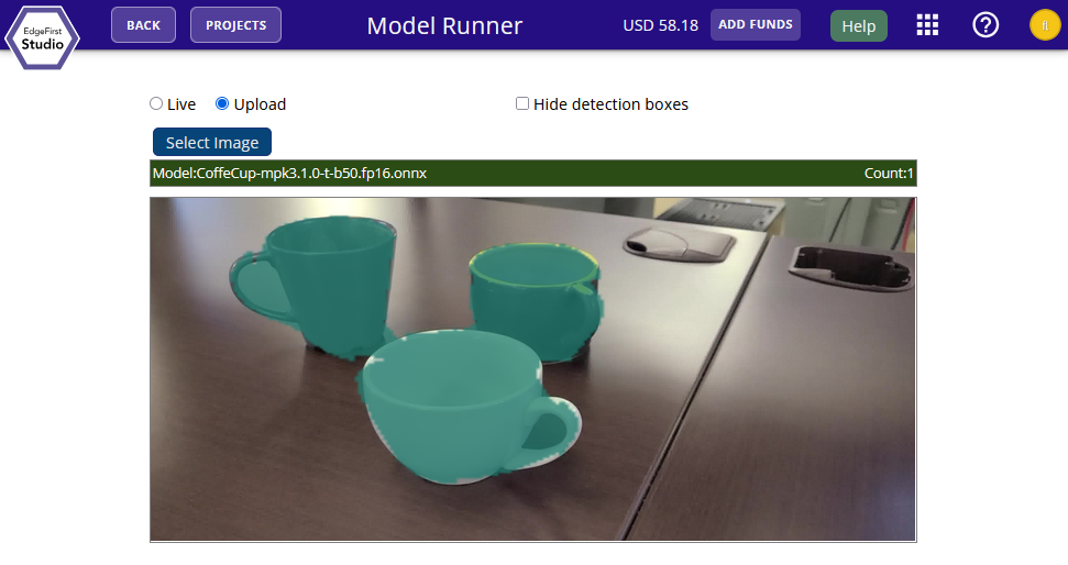 Model Results