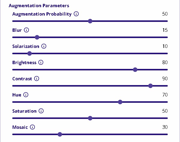 Training Augmentations