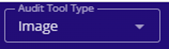 Audit Tool Type