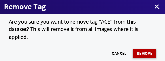 Remove Tag