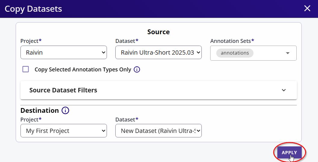 Copy Dataset Options