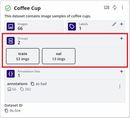 Dataset Groups