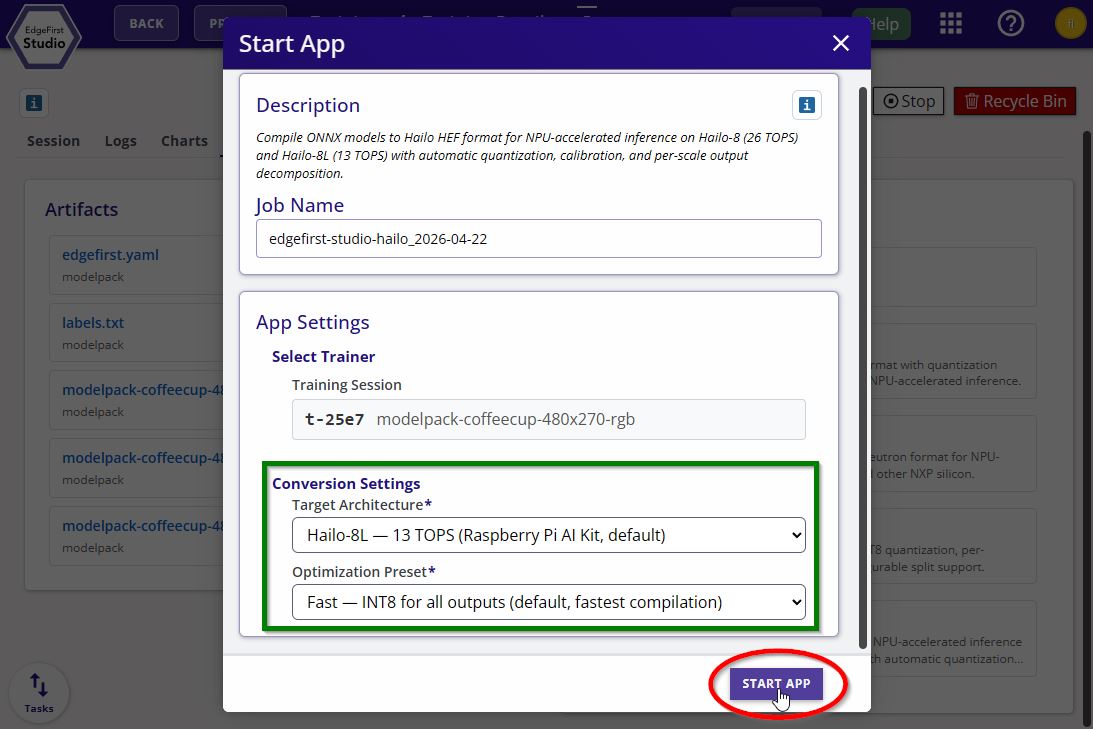 Hailo Converter Options