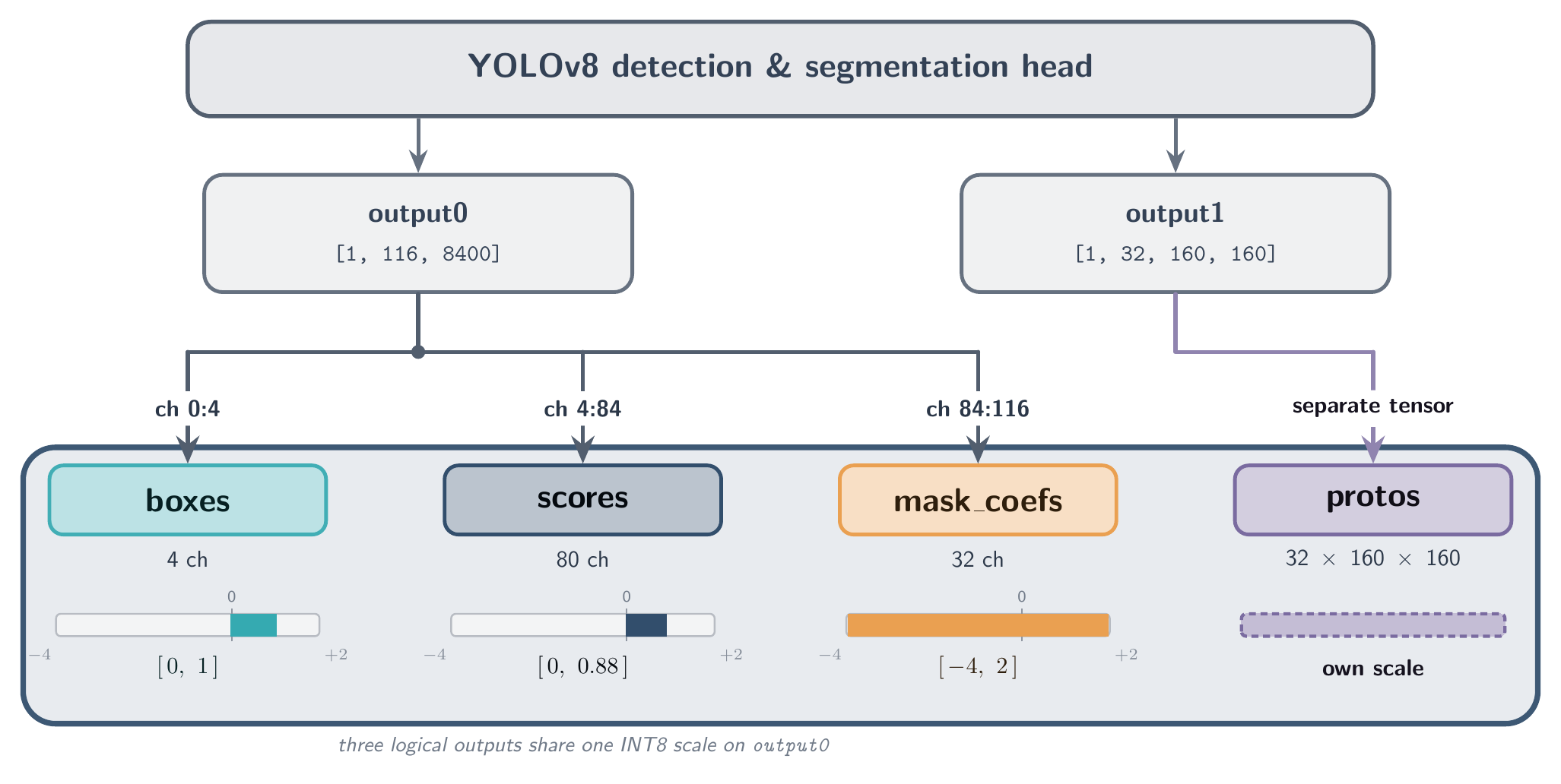 Three logical outputs share a single INT8 scale on the concatenated output0 tensor — the bounded regions collapse to a small fraction of the 256 codes.