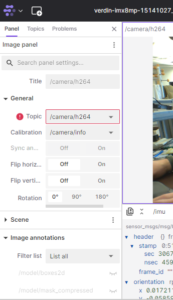 Foxglove Detect Plugin View