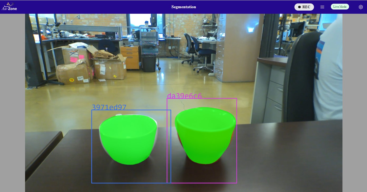 Maivin Segmentation Page