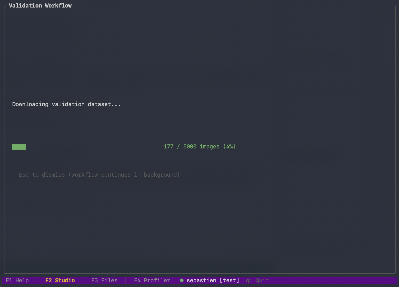 F2 Studio explorer — dataset download progress before validation starts
